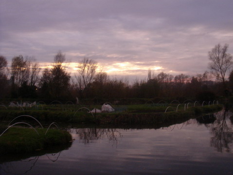 a0247585_665029.jpg