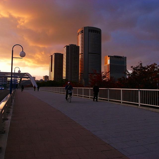 c0160387_19565279.jpg