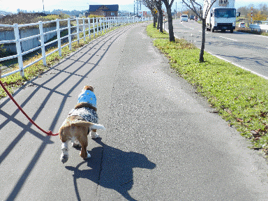 f0205887_18403367.gif