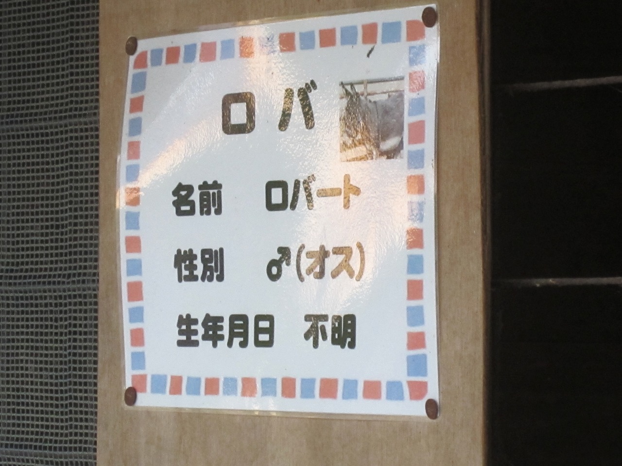 a0258496_2211539.jpg