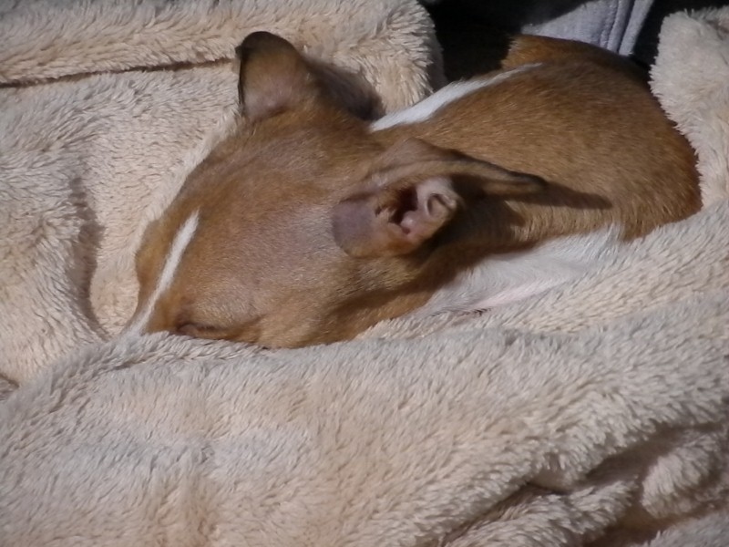 a0284997_20443612.jpg
