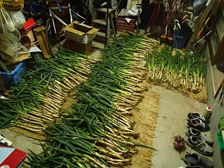 c0187298_1848277.jpg