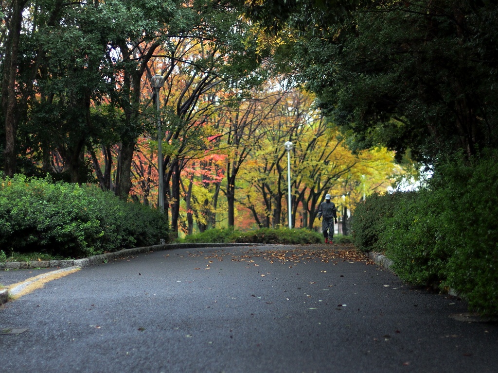 b0138101_20142135.jpg