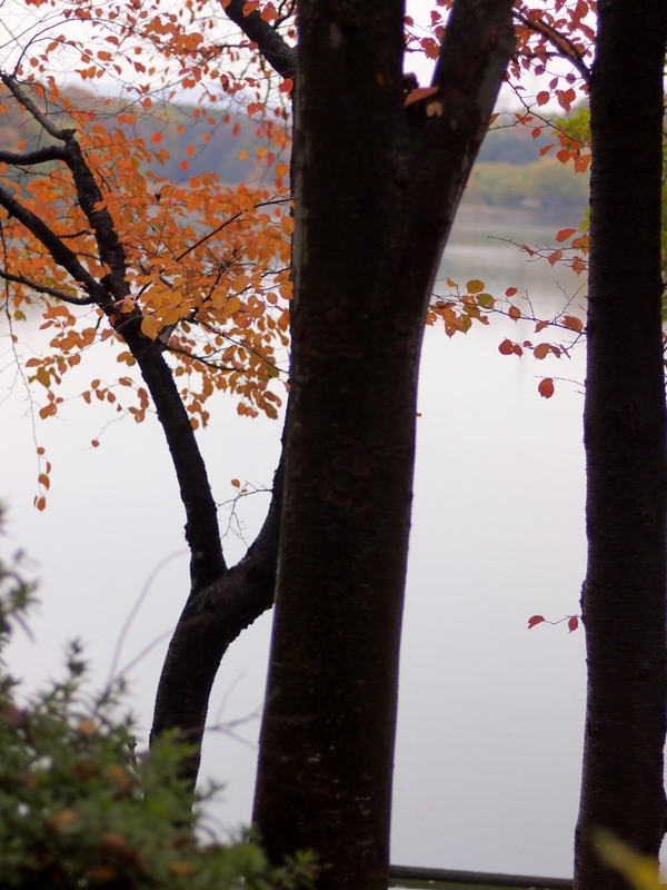 b0138101_20143958.jpg