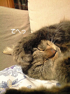 c0035001_16154656.jpg
