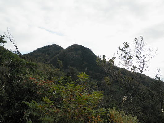 b0055202_22574425.jpg