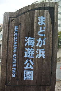 a0134004_16452924.jpg