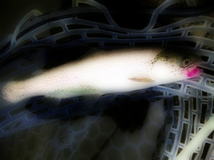 c0023804_9581986.jpg