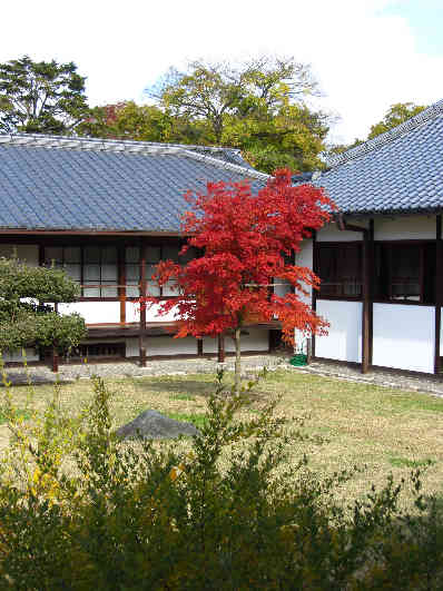 d0154609_1646395.jpg