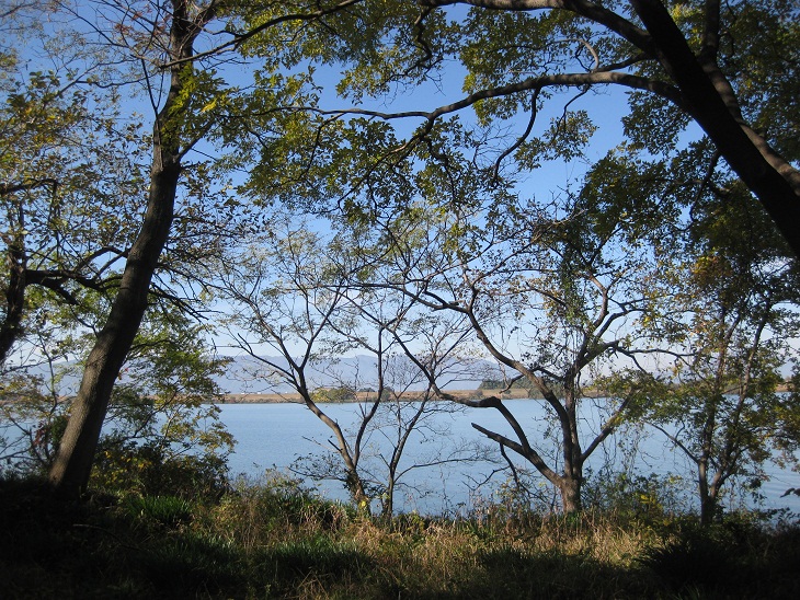 f0179209_10433411.jpg