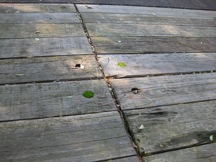 f0179209_11101960.jpg