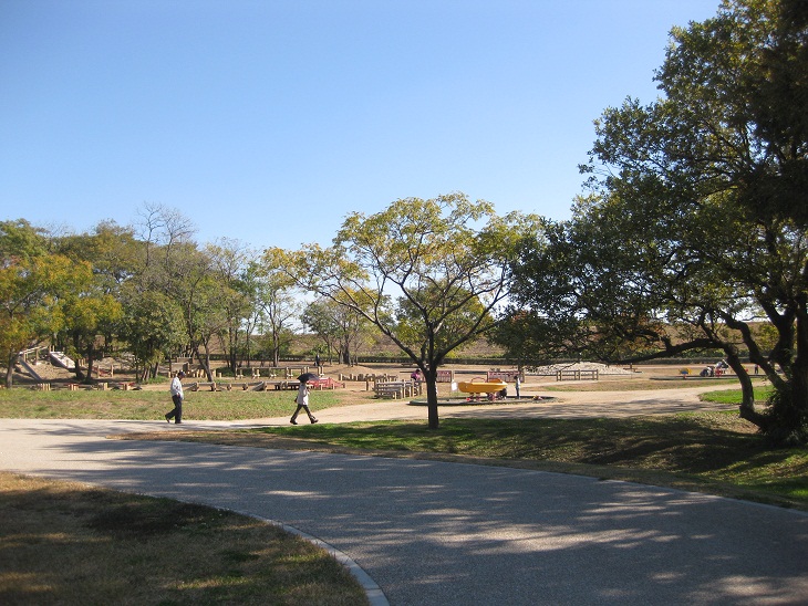 f0179209_1165663.jpg