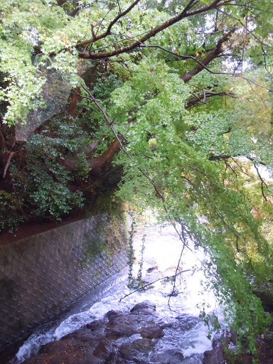 c0101913_15595341.jpg