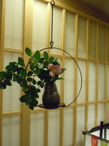 c0101913_1559599.jpg
