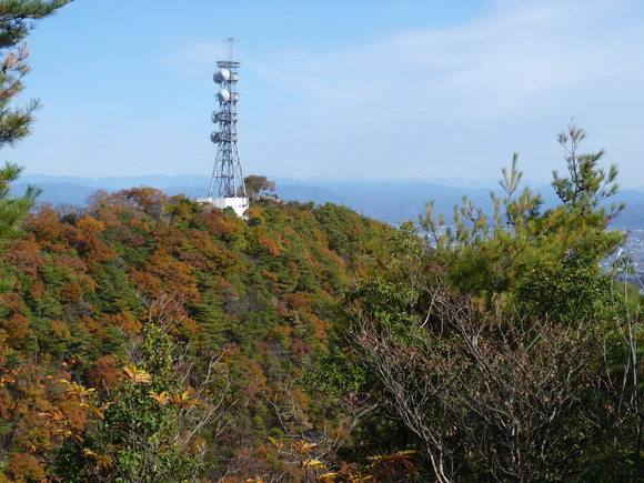 d0170615_98101.jpg