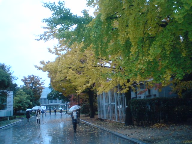 a0105023_18512015.jpg