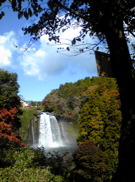 a0152724_22185230.jpg