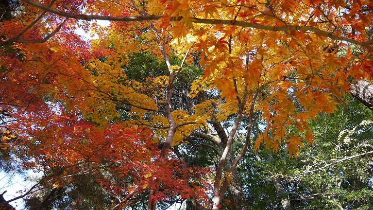 f0231829_209160.jpg