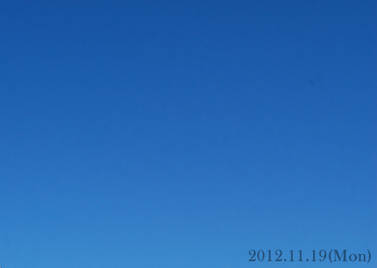 e0290331_2373168.jpg