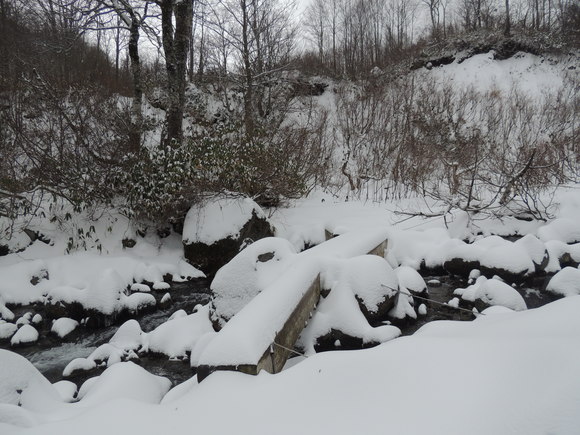 f0118332_0401040.jpg