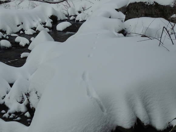 f0118332_04210100.jpg
