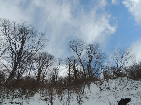 f0118332_043289.jpg