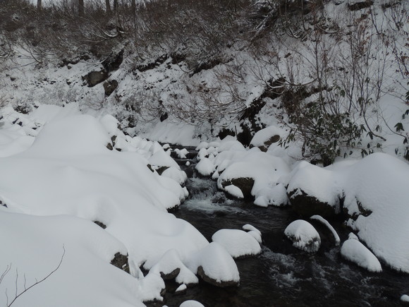 f0118332_0433383.jpg