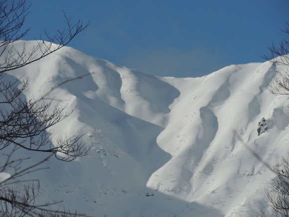 f0118332_056724.jpg