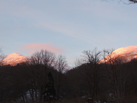 f0118332_11870.jpg