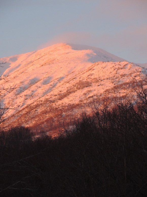 f0118332_122147.jpg