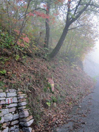 f0234936_23202859.jpg