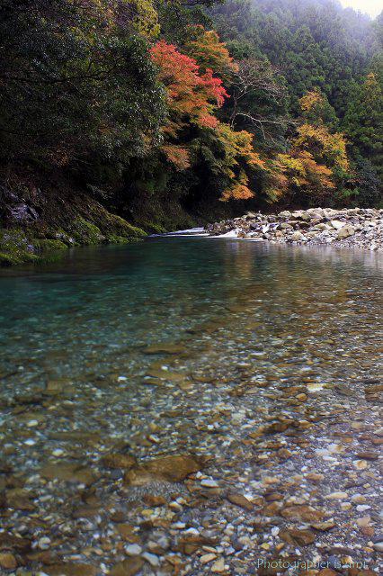 e0083238_1375162.jpg