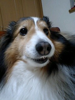 f0210439_2120016.jpg