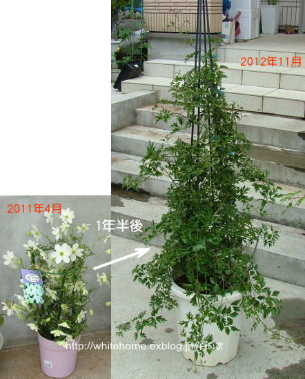 d0232840_11544298.jpg