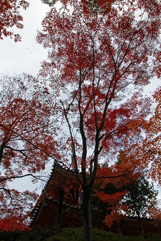 e0295041_22521419.jpg