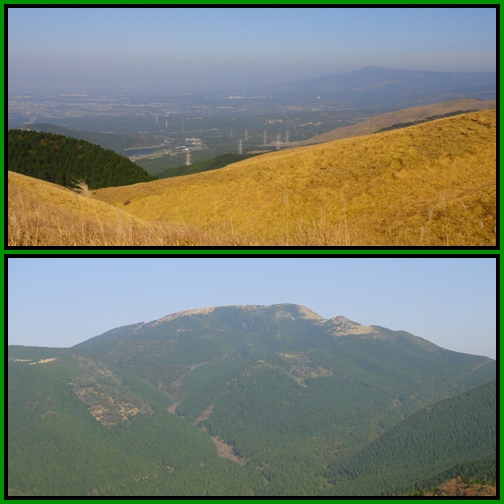 e0164643_15183650.jpg