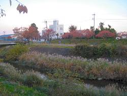 c0001653_0253242.jpg