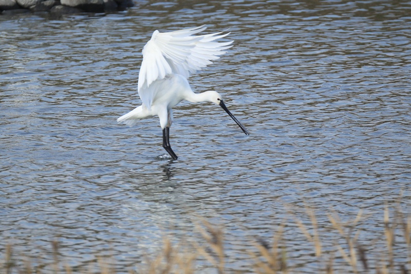 c0136654_23405030.jpg