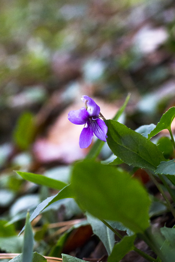 b0167256_045953.jpg