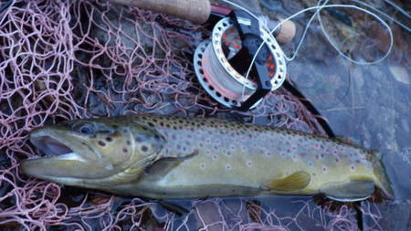 c0211357_1543068.jpg