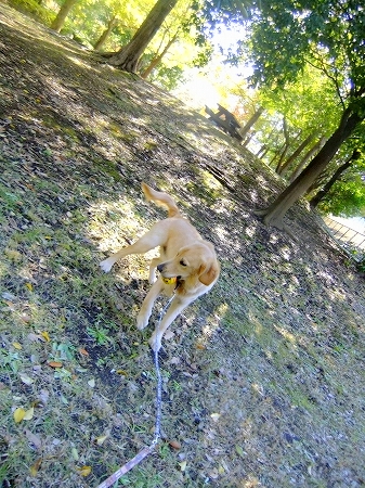 c0097558_1538226.jpg