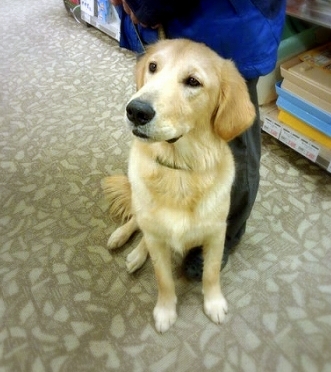 c0097558_15445770.jpg