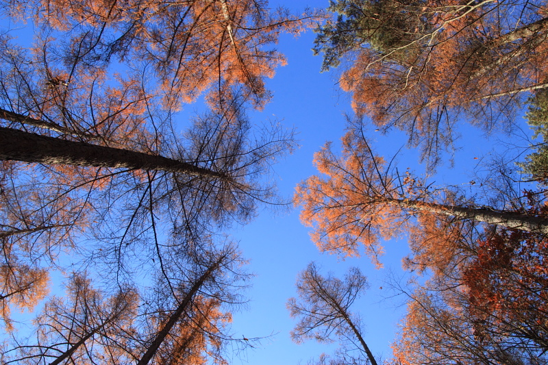 f0232758_18374550.jpg