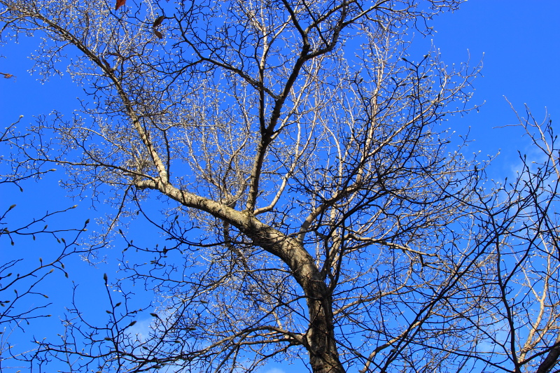f0232758_18385893.jpg
