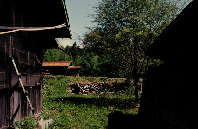 a0169060_0243043.jpg