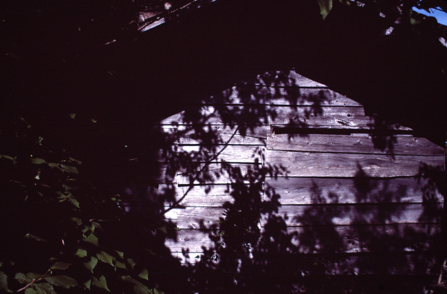 a0169060_0262264.jpg