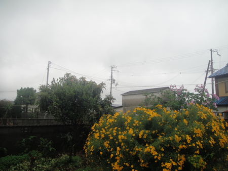 c0108460_17285328.jpg