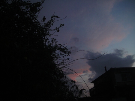c0108460_17355650.jpg