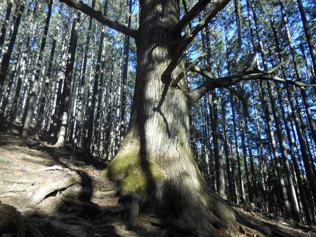 c0206177_8393879.jpg