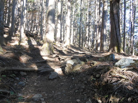 c0206177_839456.jpg